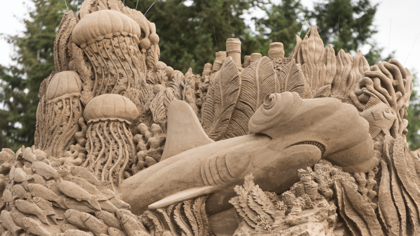 Details of a sand sculpture including jellyfish and a hammerhead shark