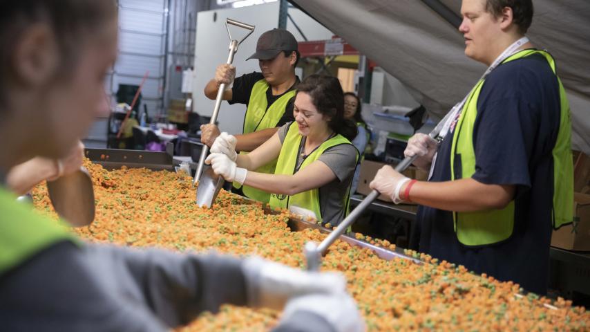 A group of people sorting frozen vegetables