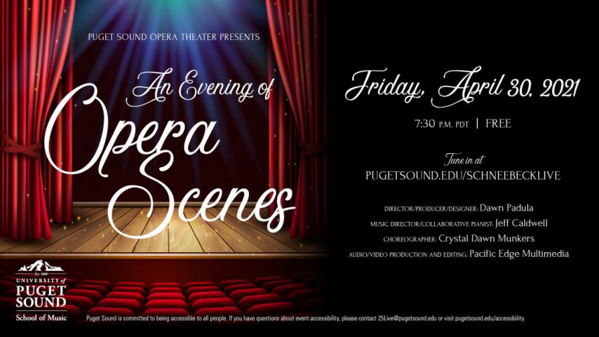 An Evening of Opera Scenes poster