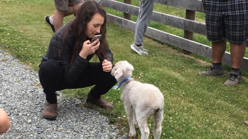 Miriam meets a lamb