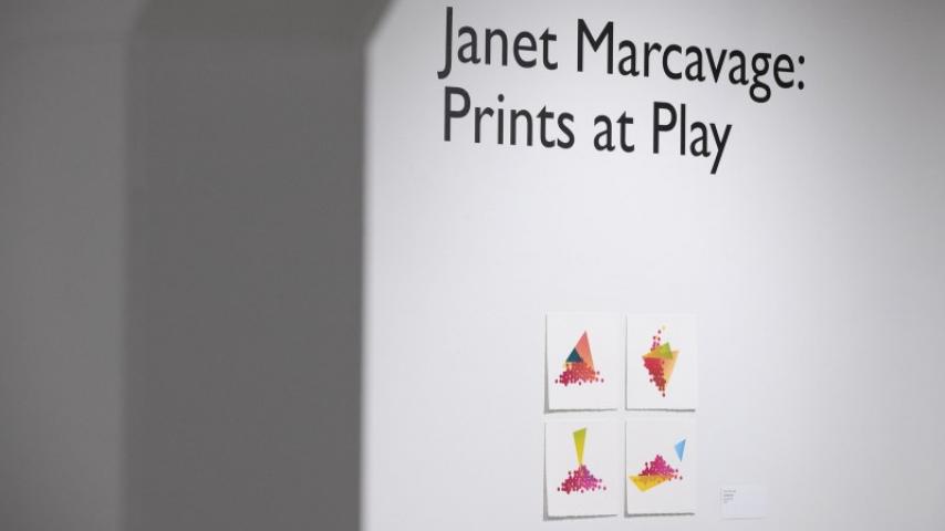 Janet Marcavage Exhibition