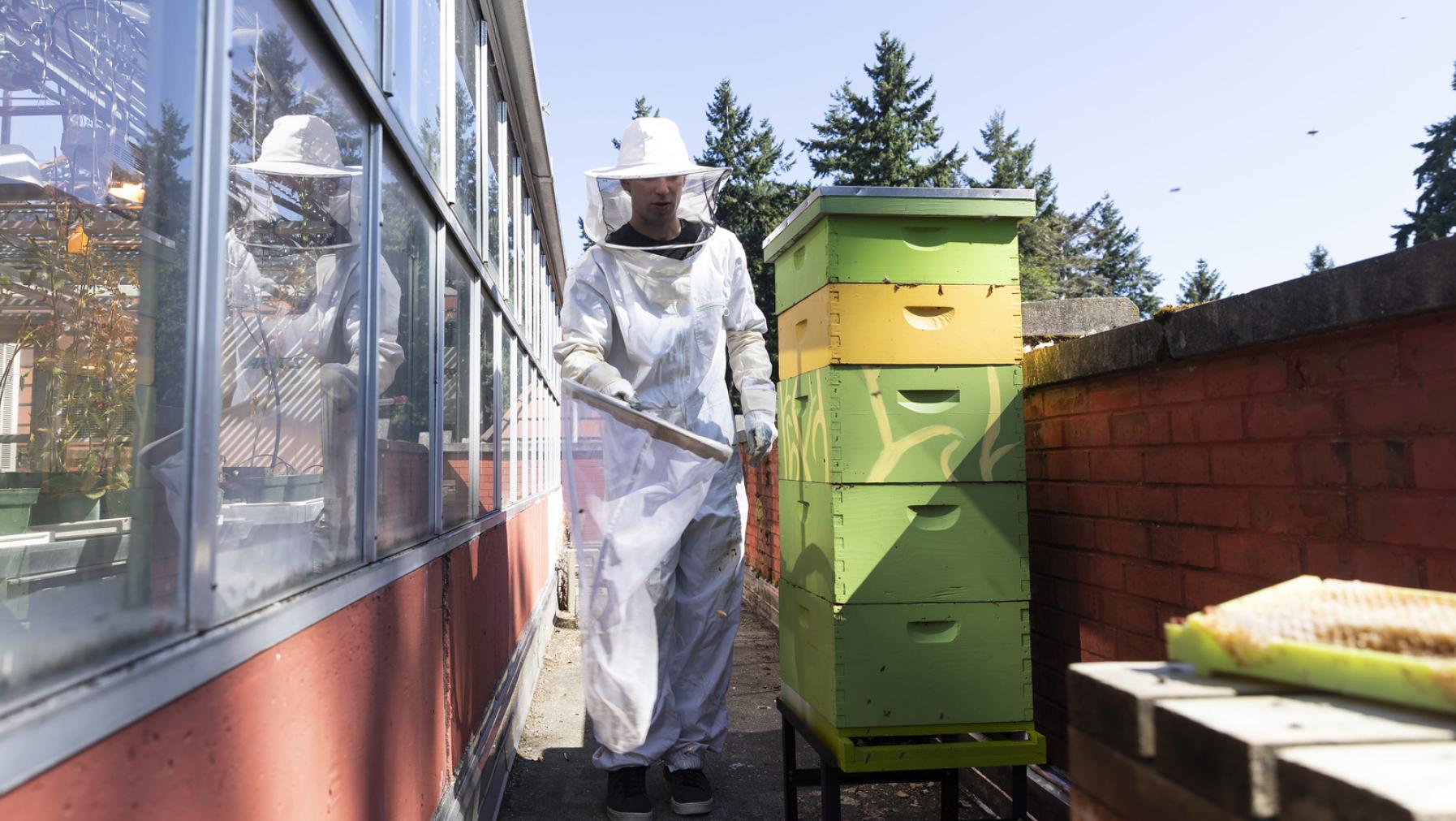 Adam Schmidt ’23, in a white beekeeper suit, stands next to stacked green and yellow boxes containing thousands of bees