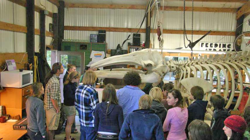 After a successful re-assembly, students from a local high school are invited to Albert’s workshop to learn about the whale.