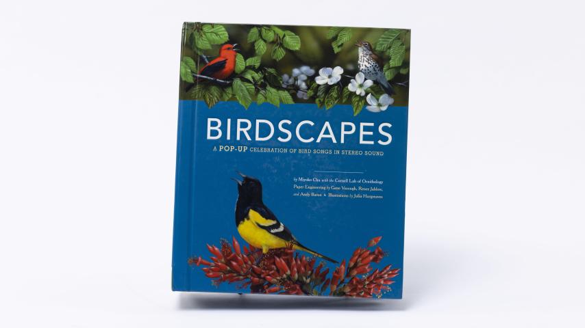 The cover of Birdscapes.