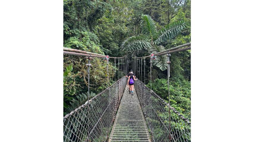 A student crosses a rope bridge in Costa Rica on a Georneys trip in 2023.