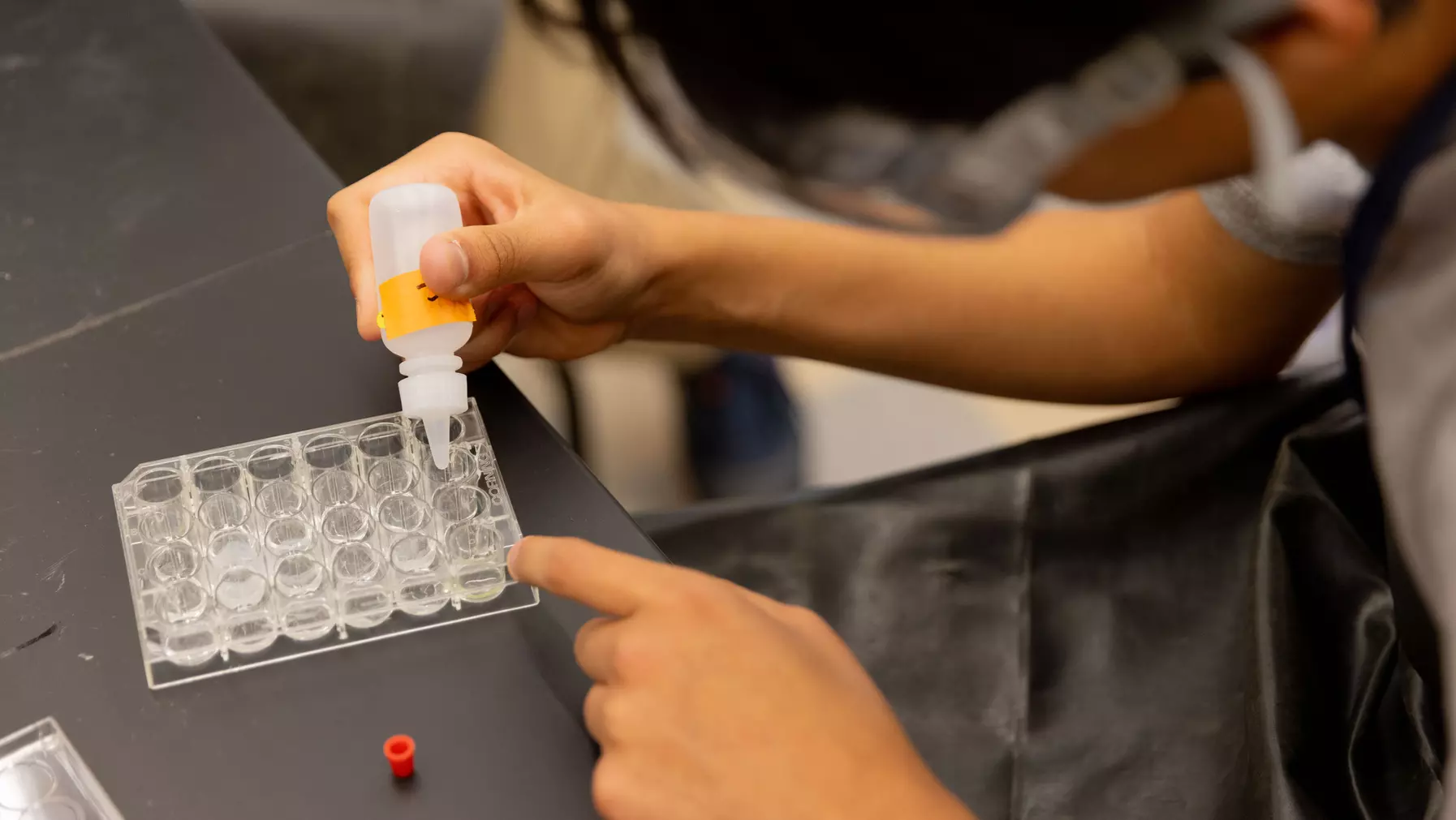 Working in the Chemistry lab