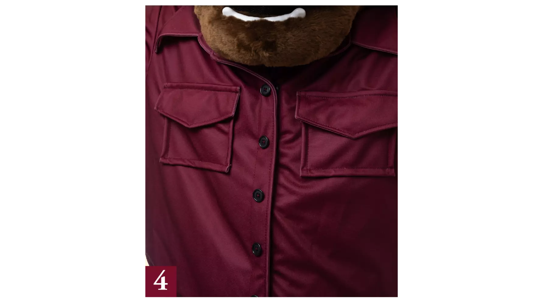 Grizz shirt close-up