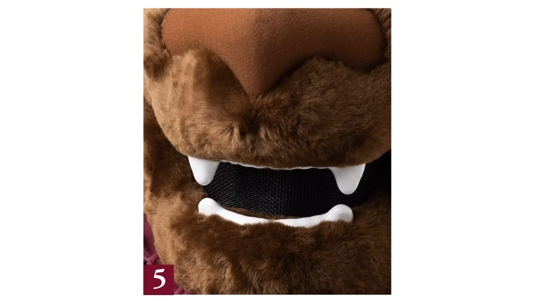 Grizz smile close-up