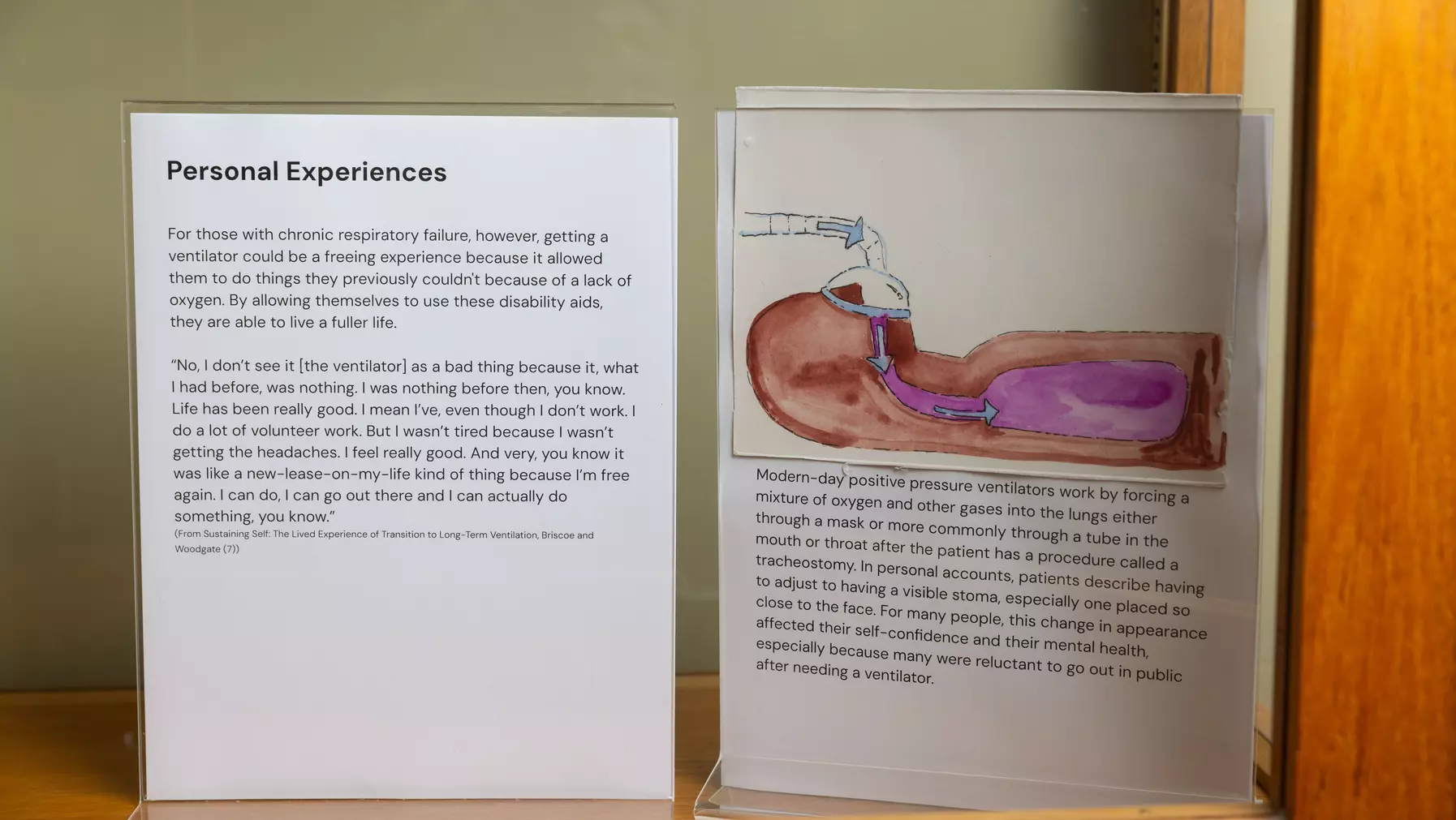 Iron lung research by Eva Langenthal ’26. Langenthal fused history, including first-person accounts, with art, like this drawing of the human respiratory system.