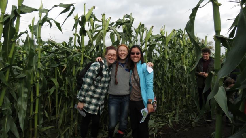 A group of people standing together in a cornfield.