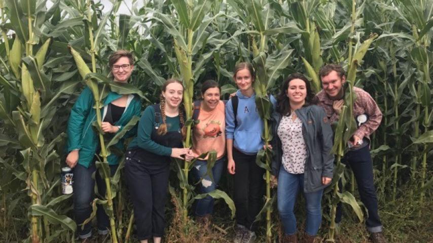 A group of people standing in a cornfield.