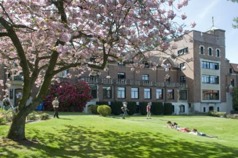 Campus building with blossoming tree in front