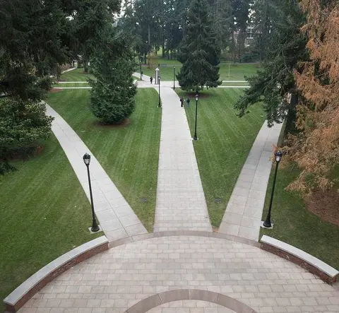 Paths leading from Collins Memorial Library