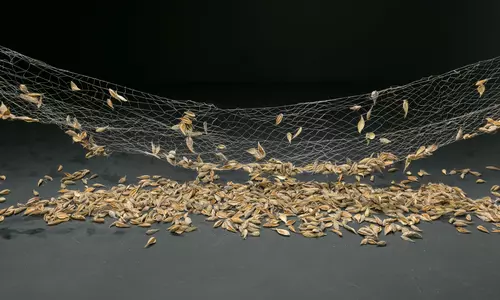 3_UPS_PR IMAGE_1_0.jpg