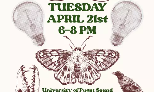 Trivia Instagram Post (1)_0.png