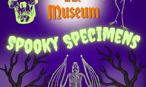 NATM Spooky Specimens Instagram_0.png