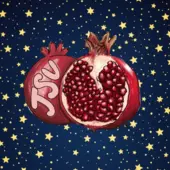 Jewish Student Association Logo