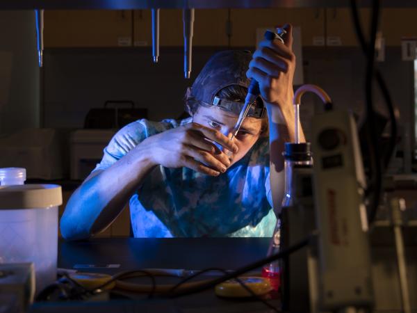 Caleb Van Boven ('19) creates a cocktail of antibodies in a test tube that will later be injected into muscle tissue samples that will fluoresce under a microscope.