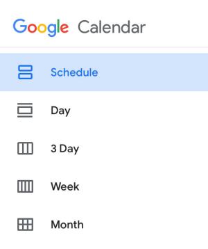 google calendar display options