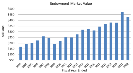 Endowment Market Value