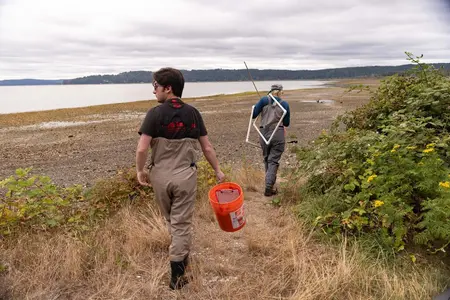 Vincent and Bea walk to the shore carrying research equipment.