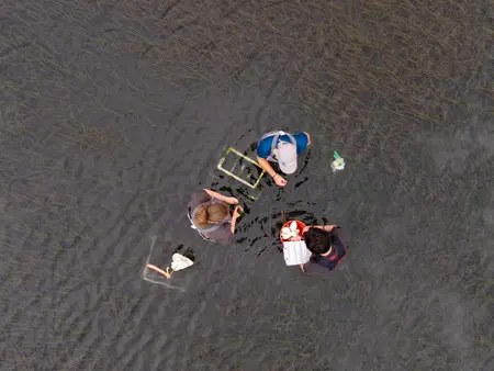 Drove shot of Vincent, Bea and a DNR employee wading in the Puget Sound