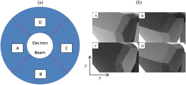 Schematic of an SEM backscatter detector assembly and Near-simultaneous images of an ice crystal as recorded by each detector.