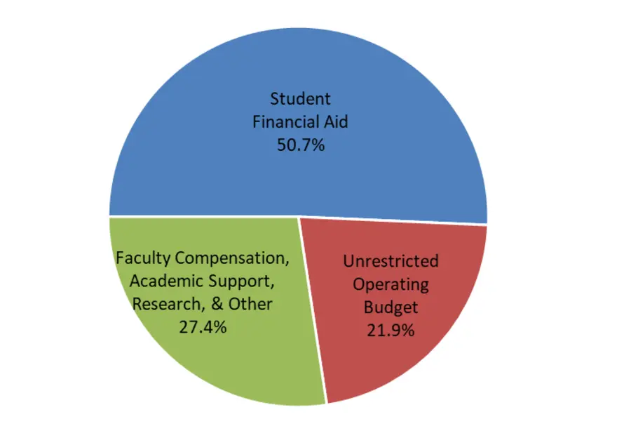 Financial support from the endowment
